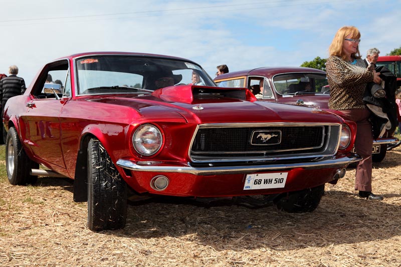 I-now-know-what-i-want-for-my-50th-Birthday-This-ford-Mustang.