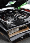 Jason Fay's 1979 Pontiac Trans Am Bandit